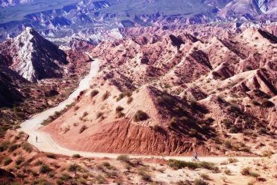 Paseos en Bicicletas