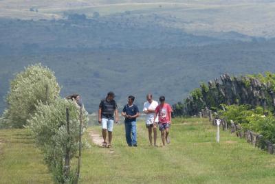 Vino el Che WineTour x 2 Pax (Alta Gracia & Winerys) Vino el Che WineTour x 2 Pax (Alta Gracia & Winerys)