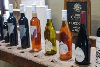 Vino Caroya Tour x 2 Pax Vino Caroya Tour x 2 Pax