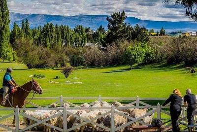 Tarde de Campo con Cena Show en Estancia 25 de Mayo El Calafate