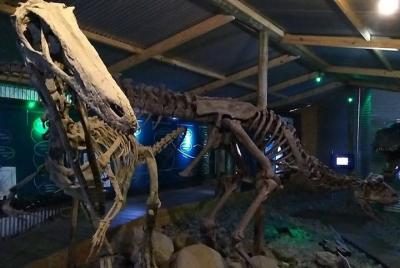 City Tour con Cuevas de Walichu