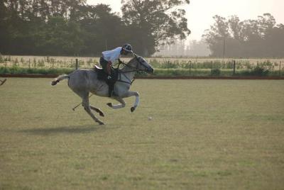 Paseo a caballo y polo en Mar del Plata, Argentina