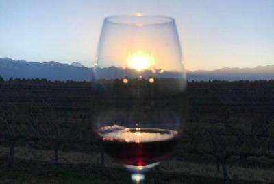 Tour de Bodegas Medio Día