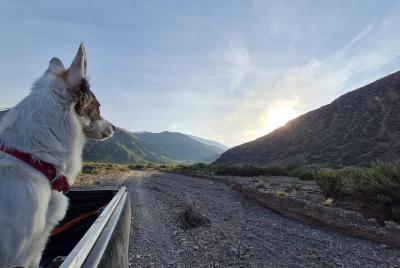Recorrido en 4X4 :Villavicencio - Puente del Inca 