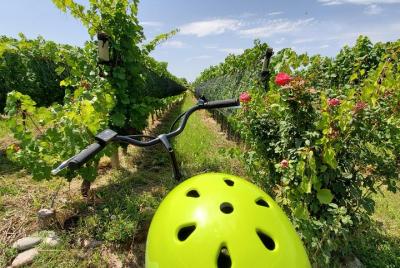 Tour autoguiado en bicicleta eléctrica en la región de malbec (Lu