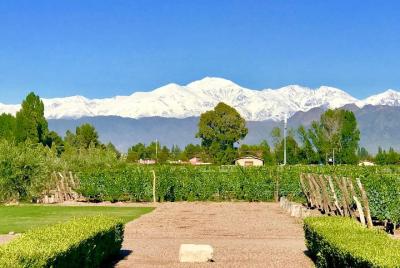 Half Day Private WineTour, Lujan de Cuyo