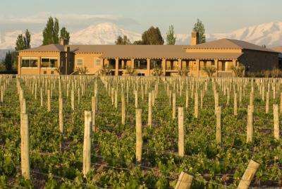 Ruta enológica con almuerzo por Mendoza