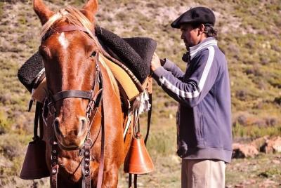 Excursión de 7 días a Mendoza y Santiago de Chile