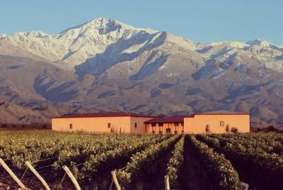 Viñedos con cata de vinos en Mendoza