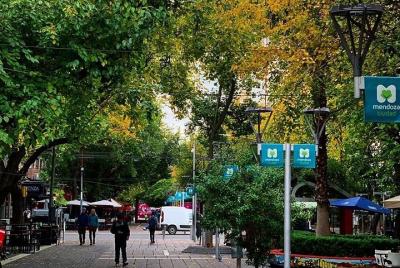 City Walking Tour + Cata de Vinos