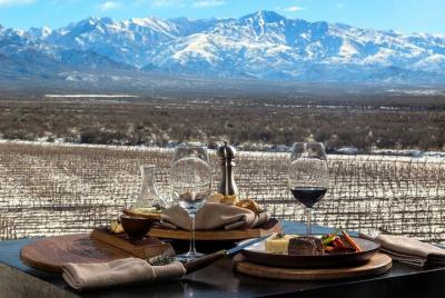 Tour de Bodegas por Valle del uco Tupungato Tunuyan