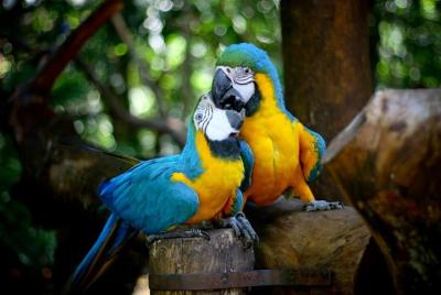 Entrada al parque de aves Güira Oga con el ascenso de las Catarat