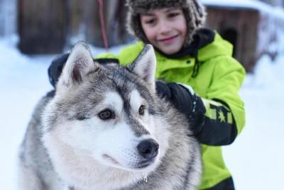 Husky Safari de Levi, incluido un paseo en trineo de huskys Husky Safari de Levi, incluido un paseo en trineo de huskys
