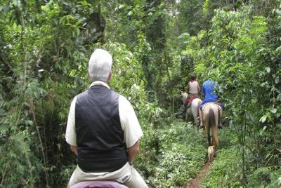 Jungle Horseback Ride en Iguazu con la comunidad guaraní