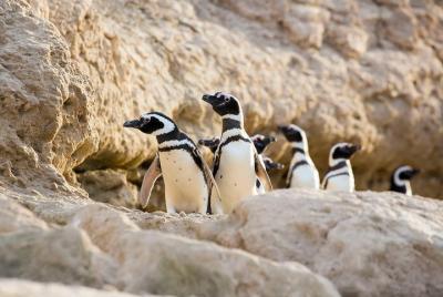 Entrada a la Pinguinera y Estancia San Lorenzo, Puerto Madryn Entrada a la Pinguinera y Estancia San Lorenzo, Puerto Madryn