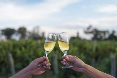 La ruta del vino desde San Juan La ruta del vino desde San Juan