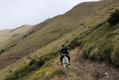 4hs Cabalgata con merienda en El Desafío, San Martín de los Andes, Argentina 4hs Cabalgata con merienda en El Desafío, San Martín de los Andes, Argentina