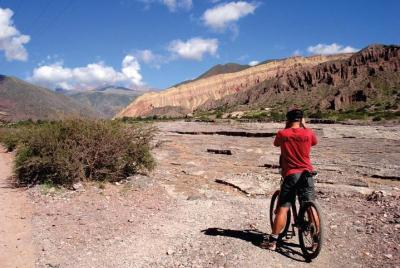 Excursión de medio día en bicicleta de montaña desde Juella hasta