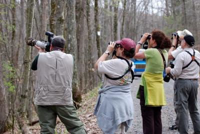 Tour de fotografía y observación de aves