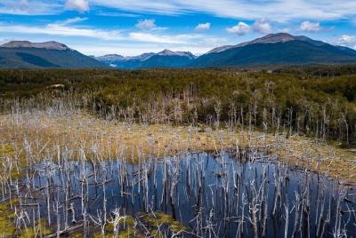 Lagos Fueguinos