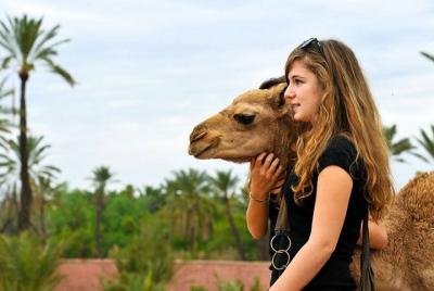 Excursión de un día a las montañas del Atlas con paseo en camello