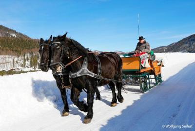 Recorrido en trineo tirado por caballos desde Salzburgo en Navida Recorrido en trineo tirado por caballos desde Salzburgo en Navida