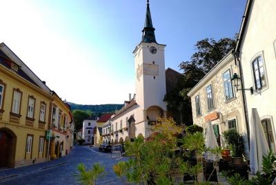 Tour privado de vinos por los bosques de Viena