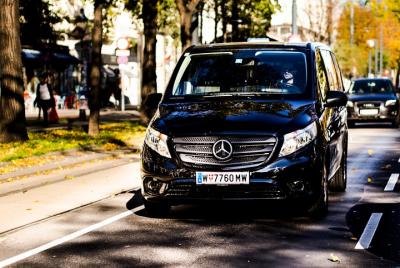 Excursión privada: recorrido por los principales monumentos de Vi