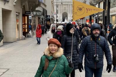 Yay Walk: tour de lo más destacado de Viena para grupos pequeños 