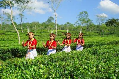 Tour privado: 5 días - Bangladesh Nature & Culture Tour - Noreste