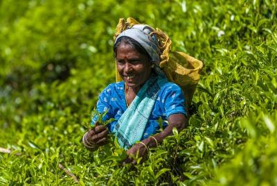 Tour de 5 días por Bangladesh - Dacca - Sonargaon - Srimangal