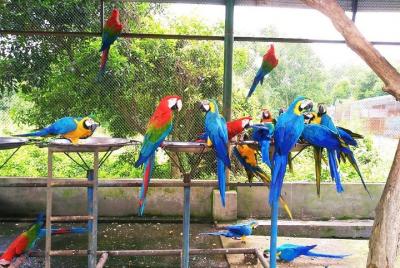 Gazipur Safari Park Day Tour Gazipur Safari Park Day Tour