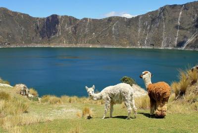 Tour Cultural Laguna Quilotoa: Senderismo y Descenso a la Laguna 