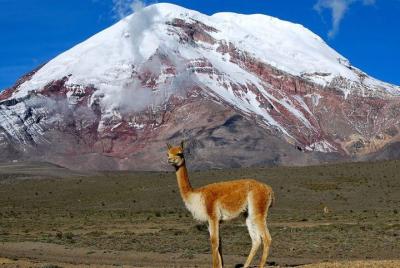 Tour Chimborazo desde Quito: Senderismo y Descenso en Bicicleta t