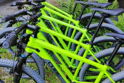 Bike Gante Tours privados