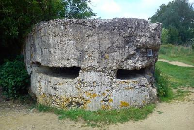 Tour de campo privado de Nueva Zelanda en Flandes desde Bruselas