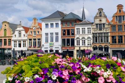 Excursión a pie guiada por la ciudad de Mechelen para grupos pequ