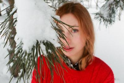 Tour mágico de Navidad en Turne