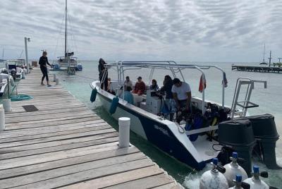 Buceo con 1 tanque Cayo Ambergris Buceo con 1 tanque Cayo Ambergris