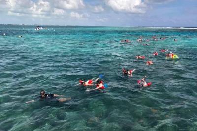 Esnórquel en jardín de coral por la ruta de tiburones y rayas Esnórquel en jardín de coral por la ruta de tiburones y rayas
