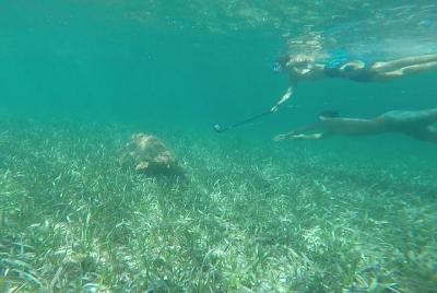 Tour de snorkeling de Hol Chan y Turtle Garden