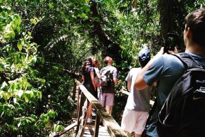 Santuario de babuinos y encuentro de monos aulladores