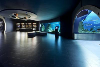 Tour por el acuario de Estambul y el centro comercial Aqua Florya