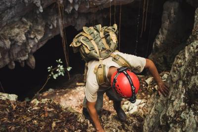 Excursión de un día a la Cueva Cristal y al Parque Nacional Blue 
