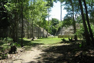 Full-Day Caracol Maya Temple y Pine Ridge Forest Reserve