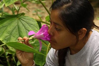 Experiencia de COMBO en el jardín botánico de Ian Anderson's Cave