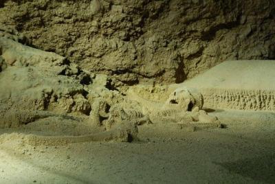 Las mejores actividades en San Ignacio