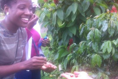 Tour de café expreso de medio día