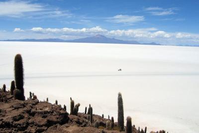 Excursión al Salar de Uyuni desde Uyuni