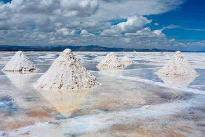 SALT PISOS TOUR UYUNI - 1 DIA | Incluye guía de habla inglesa